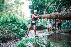 BIB: 
                            <button type="button" onclick="openModal(25443145)" class="btn btn-primary btn-sm float-right btn-popup" data-toggle="modal" data-target=".modal-high-quality">
                        <i class="fas fa-shopping-cart"></i> Add to Cart
                    </button>
                                            <button type="button" onclick="isThisMe(25443145, true)" class="btn btn-success btn-sm float-right btn-popup btn-isme hidden" data-toggle="tooltip" data-placement="bottom" title="นี่คือรูปของคุณใช่ไหม คลิกที่นี่เพื่อเอาเข้าอัลบั้ม">
                        <i class="fas fa-plus"></i> Add to album
                    </button>
                    <button type="button" onclick="isThisMe(25443145, false)" class="btn btn-warning btn-sm float-right btn-popup btn-isnotme hidden">
                        <i class="fas fa-ban"></i> Remove from album
                    </button>